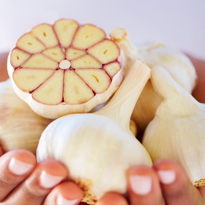 Vcut direncinin benzini besinler! Doal antibiyotik, doal ifa