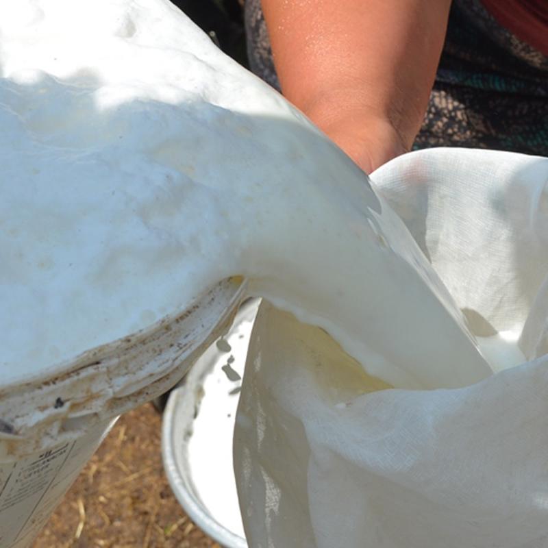 Kahvalt sofralarnda, brekte, poaada her yerde kullanlyor! Bbrekleri diyalize srklyor