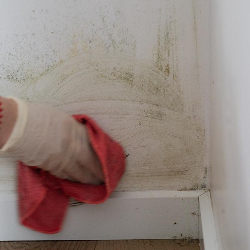 Sirke mi yoksa amar suyu mu daha etkili? Rutubeti annda sfrlyor, kt koku tarihe karyor