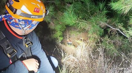 Antalya'da yry uurumda bitti... 2 turist kurtarld