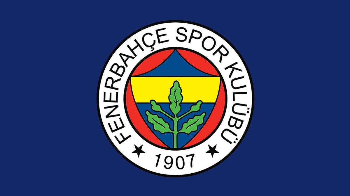 fenerbahe futbol sper lig fotoraflar resimleri