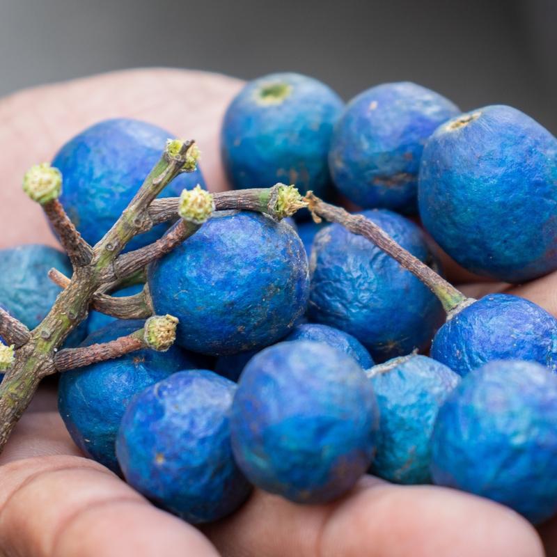 Tescilli sper meyve gzelletiriyor: Doal parlama ve genlik lts salyor