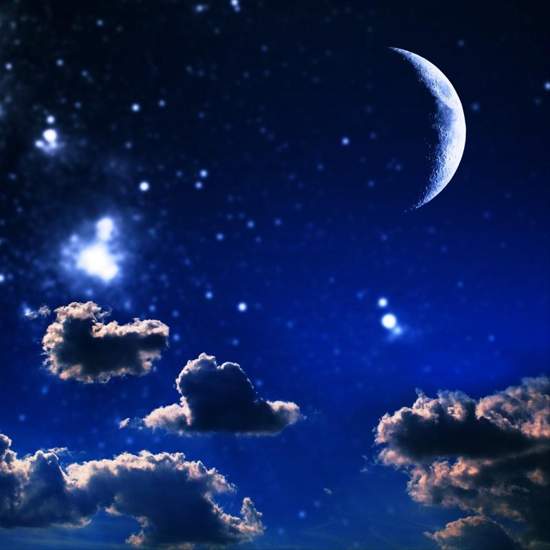 Ters ke yapacak 2 bur: Kader alarn ryor