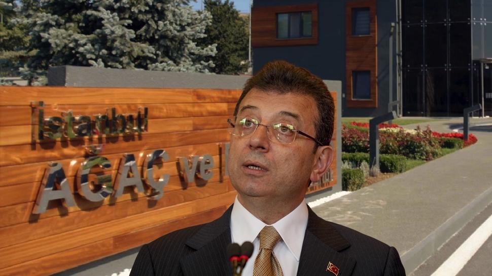 Ağaç AŞ'de rüşvet çarkı: 13 itirafçı İBB'de dönen dolapları ifşa etti