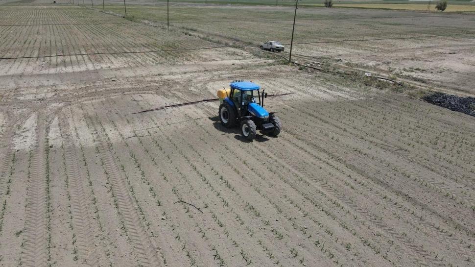 FAO'dan Türkiye'ye 8,1 milyon dolarlık kaynak