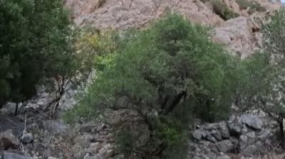 Antalya'da dalk alanda mahsur kalan 2 kii kurtarld