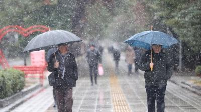Hava sıcaklıkları artıyor! Batıda bahar, doğuda kış var