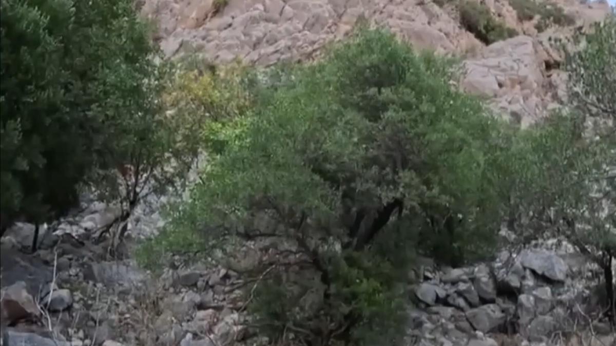 dalk alan yry  kurtarma operasyonu  mahsur kalan genler fotoraflar resimleri