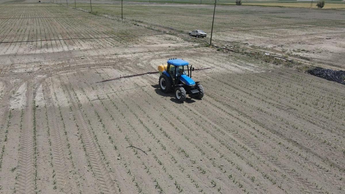 FAO Tarm evre Koruma fotoraflar resimleri