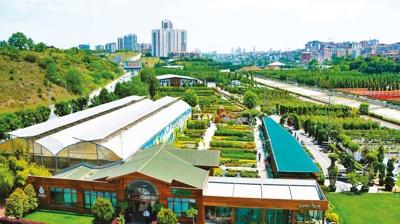 Fidanlar aaca aalar rvete!