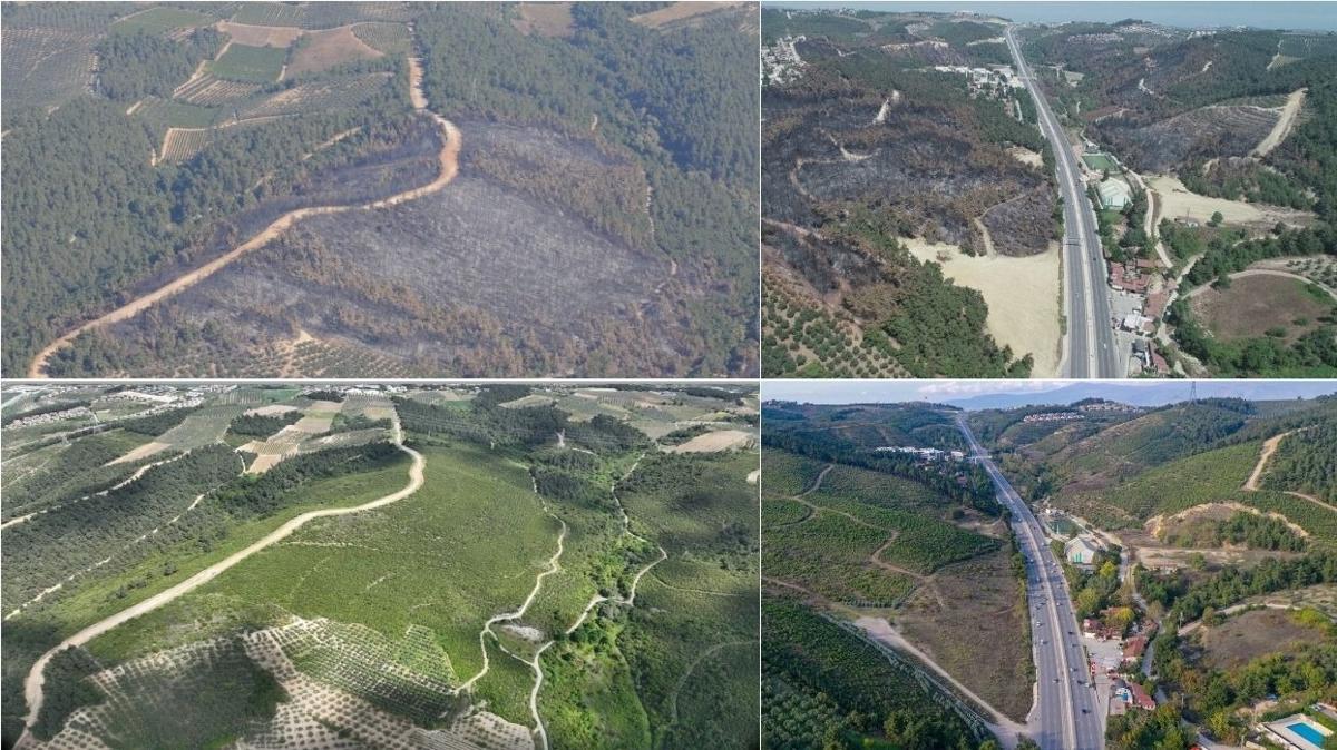 bursa orman yangn yanan orman yanan aa aalandrma mudanya doa orman evre yeil vatan fotoraflar resimleri