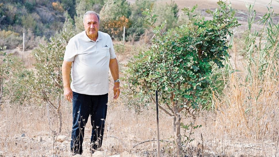 Emekli mühendis atıl araziyi yeşertti