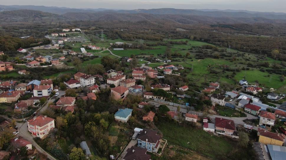 İstanbul'da şap alarmı: 3 köy karantinaya alındı