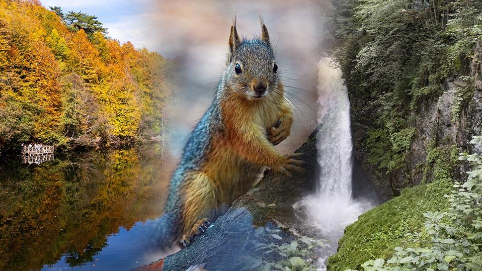 Sonbaharın en güzel hali: Yaprak dökümü gezi rotaları