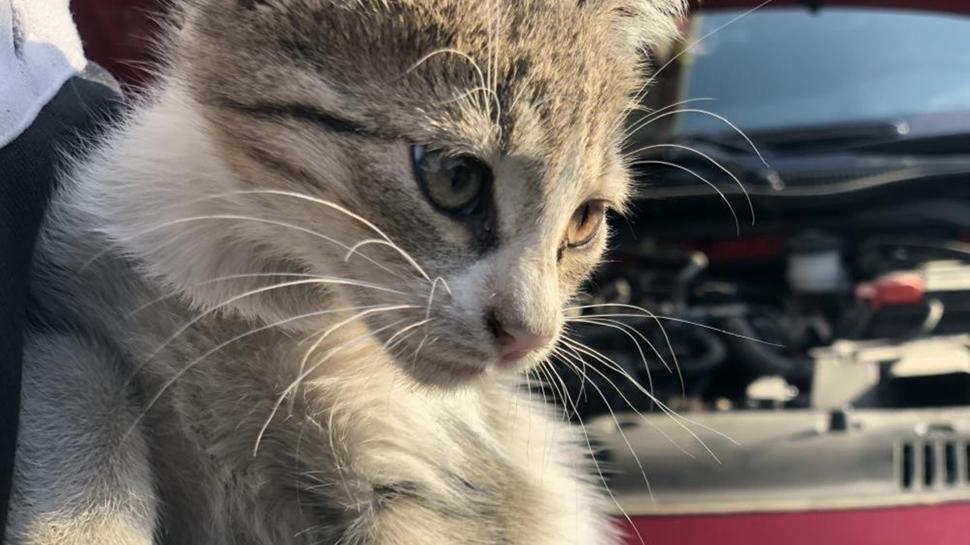 Uzamanlar uyardı: Kontağı çevirmeden kaputa vurun