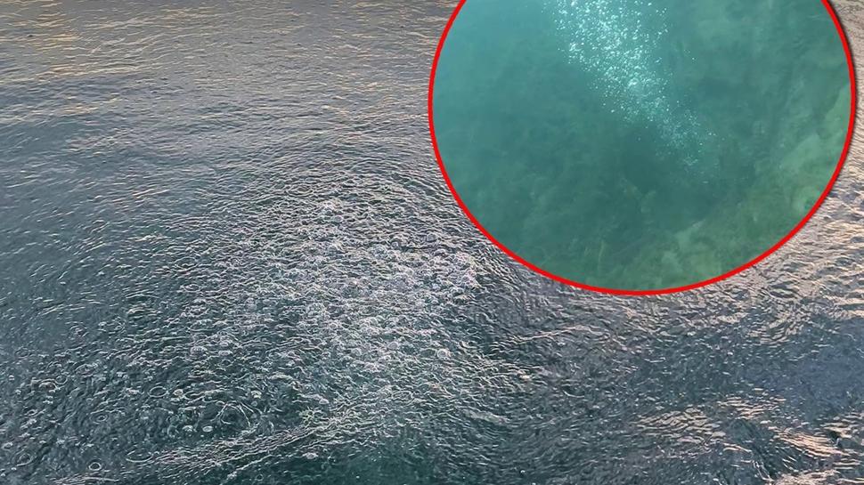 "Büyük deprem olacak" yalanı çöktü! Sapanca Gölü'ndeki kabarcıkların sırrı çözüldü