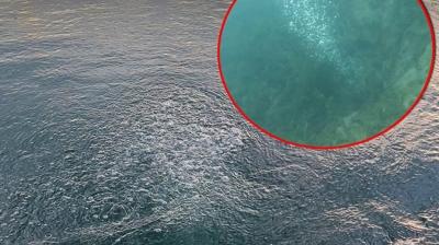 'Büyük deprem olacak' yalanı çöktü! Sapanca Gölü'ndeki kabarcıkların sırrı çözüldü