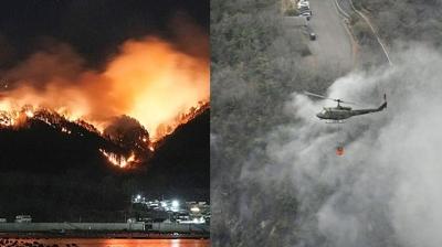 Yangn felakete dnd: 170'den fazla bina alevlere teslim oldu