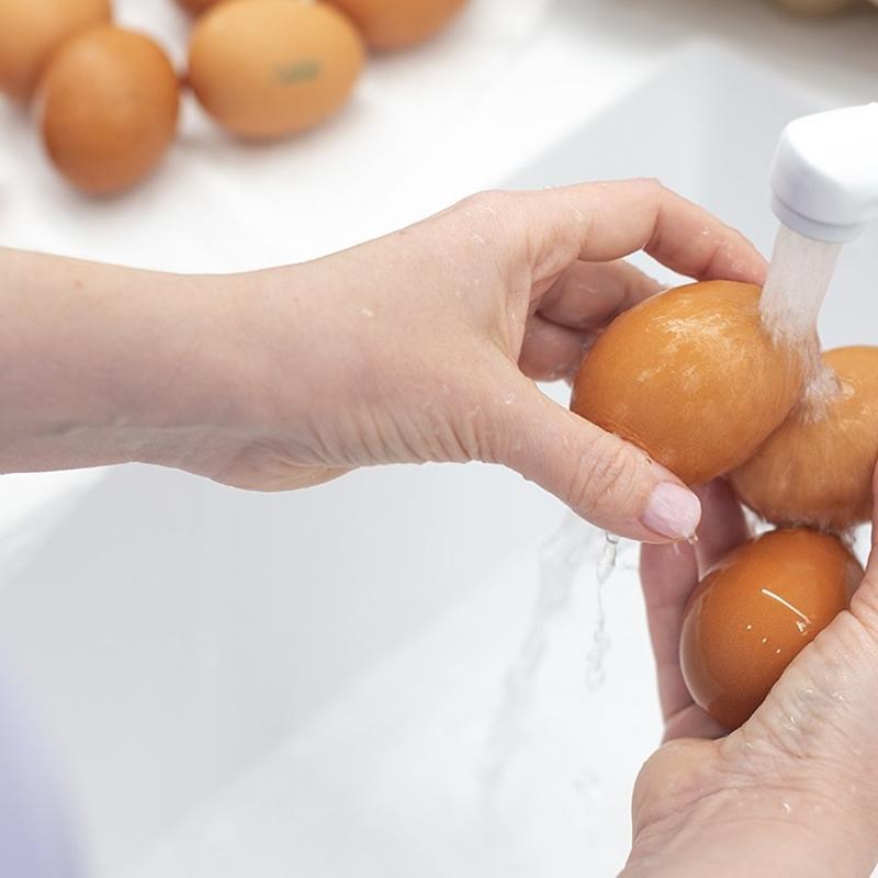 Yumurta halamadan  ykanmal m yoksa ykanmamal m? Meer en salkl olan