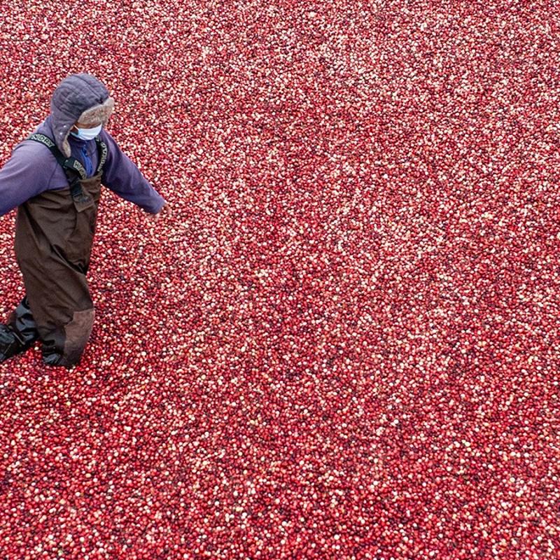 1 bardak yeter! drar yolu enfeksiyonunu bitiriyor, demir ve magnezyum depolarn zirveye tayor