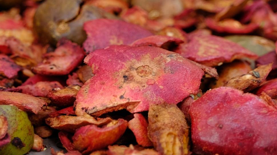 Kabuğu meyveden daha faydalı! Antioksidan deposu: Sindirimden bağışıklığa güçlü etki