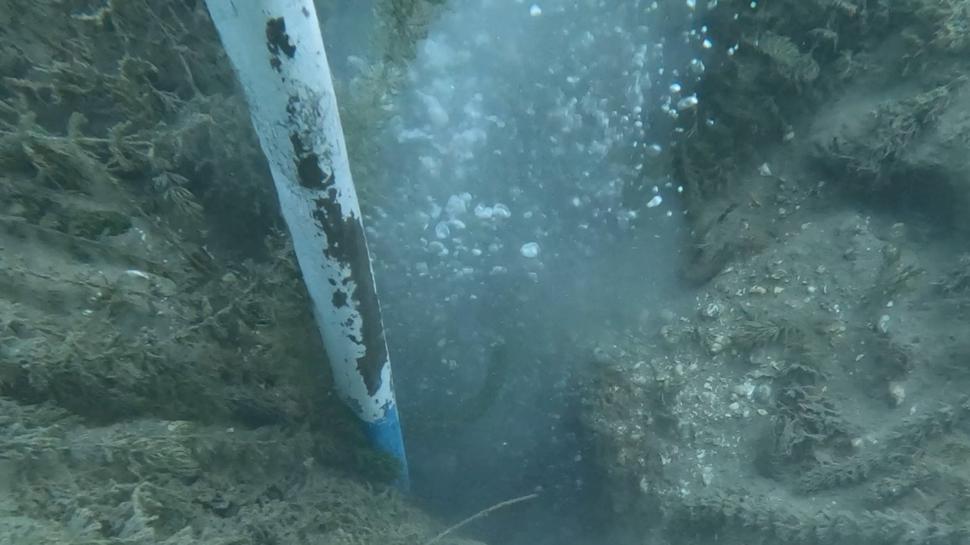 Sapanca'da halk endişe içinde! "Rahat uyuyamıyoruz"