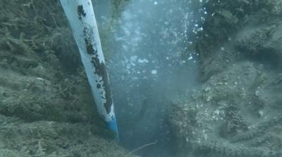 Sapanca'da halk endie iinde! 