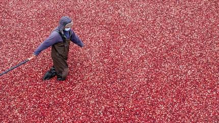1 bardak yeter! drar yolu enfeksiyonunu bitiriyor, demir ve magnezyum depolarn zirveye tayor