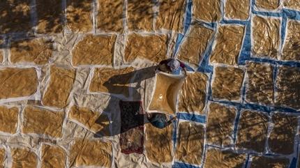 Kalsiyumu kemiklere mhrlyor! Tkal kalp damarlarn ayor, vcudu elik gibi glendiriyor