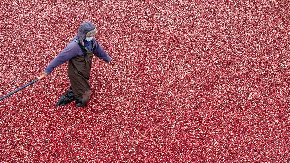 idrar yolu enfeksiyonu demir ve magnezyum kzlck  fotoraflar resimleri