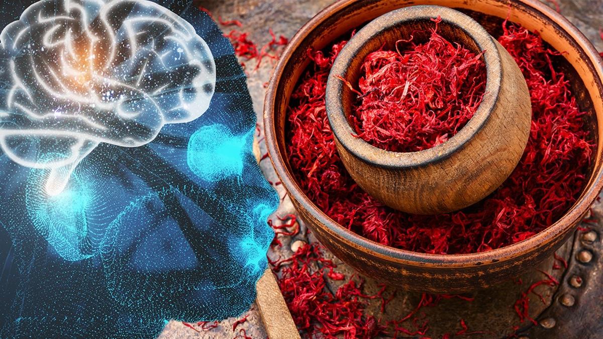 baharat safran zeka hafza fotoraflar resimleri