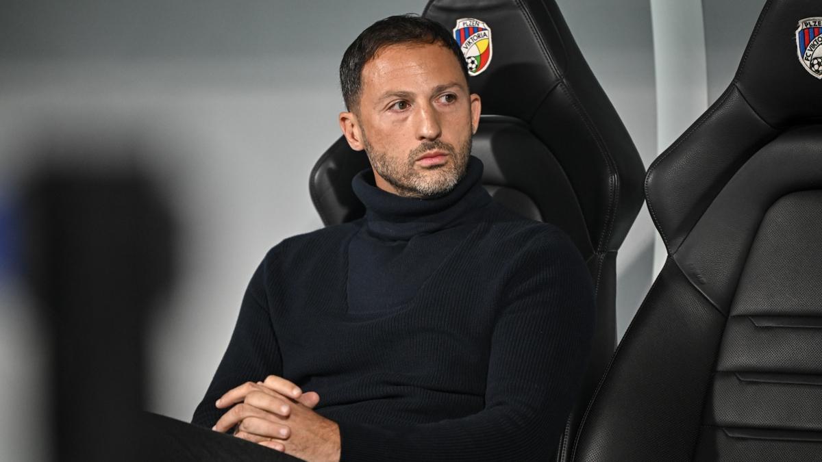 fenerbahe domenico tedesco sper lig fotoraflar resimleri