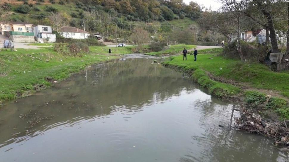 İstanbul'da tedirgin eden görüntü! Balıklar kıyıya vurdu