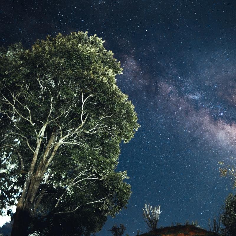 Masumiyetin sembol 3 bur: Onlardan ktlk beklenmez