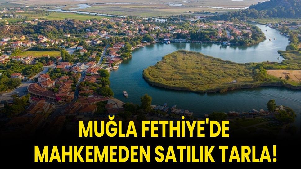 Muğla Fethiye'de mahkemeden satılık tarla!
