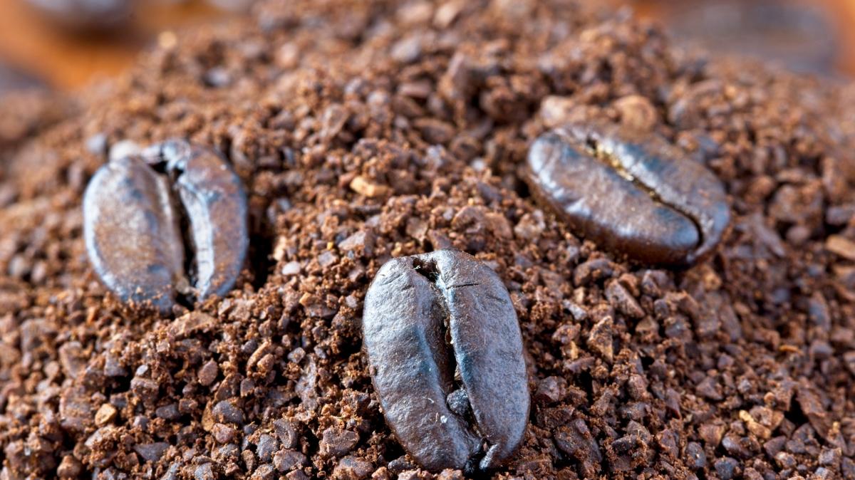 kahve telve hayat fotoraflar resimleri