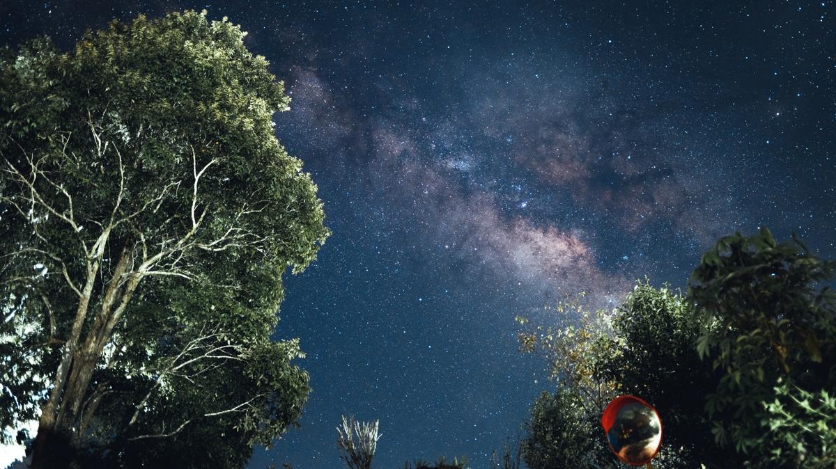 bur astroloji hayat fotoraflar resimleri