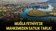 Mula Fethiye'de mahkemeden satlk tarla!