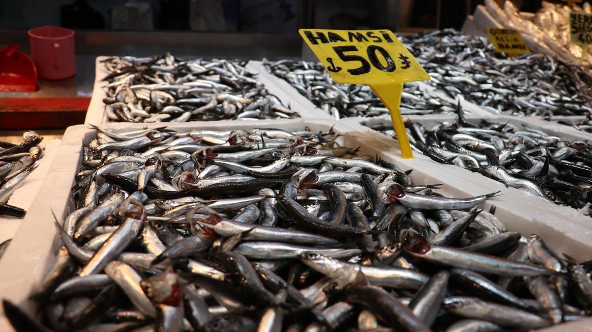 Karadeniz  deniz suyu  hamsi g fotoraflar resimleri