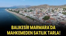 Balkesir Marmara'da mahkemeden satlk tarla!