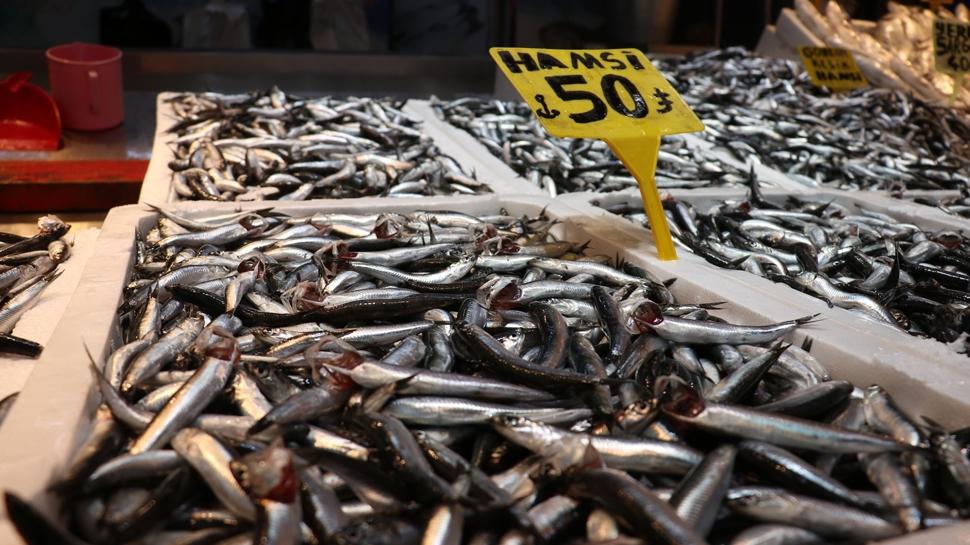 Yön değiştirdiler! Hamsi Türkiye'den kaçıyor