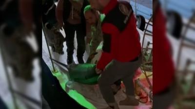 2 buuk saatte tekneye karld... 155 kilo, deeri tam 65 bin TL