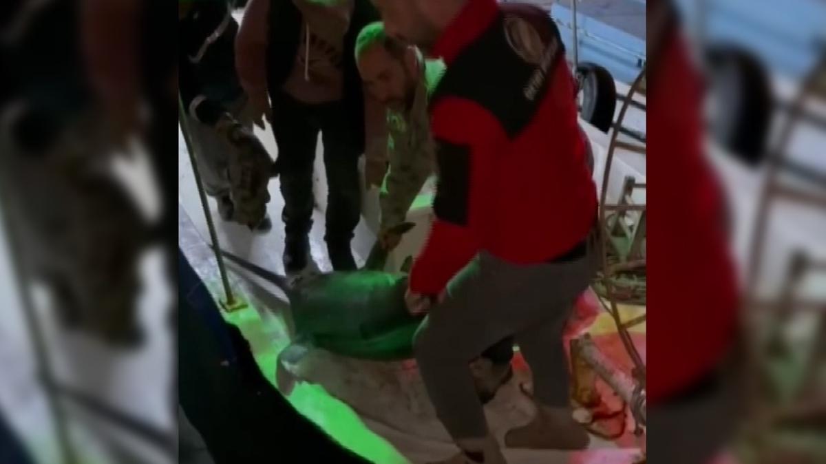 balklk  kl bal yakalama  Mustafa Oktay Akdeniz fotoraflar resimleri