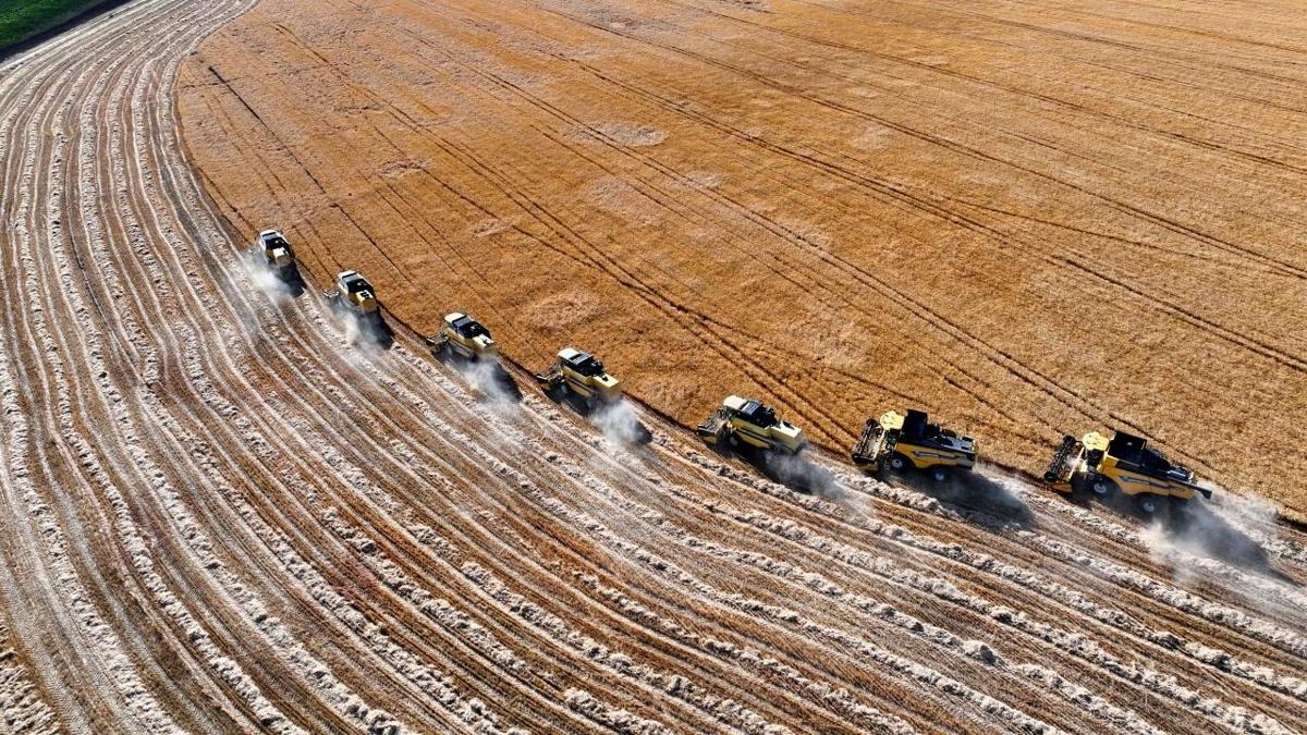 Krsal Aile iletmeleri yeni destek fotoraflar resimleri