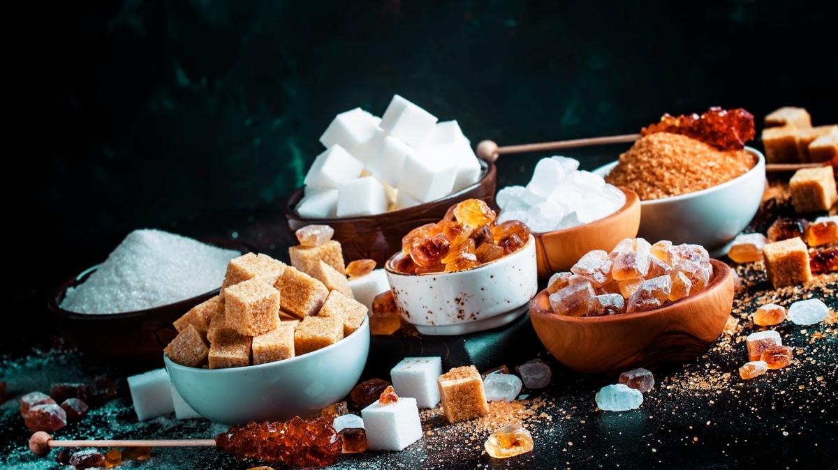 yallk salk hayat fotoraflar resimleri