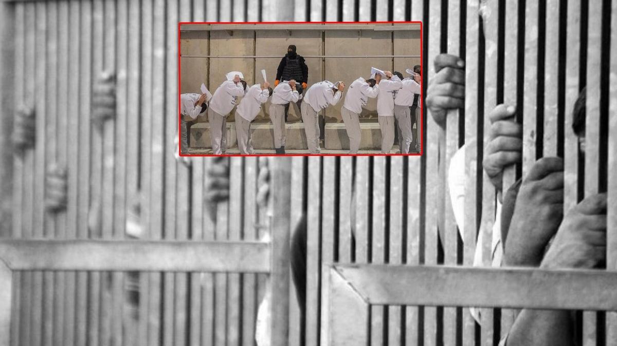 israil hapishane filistin ikence fotoraflar resimleri