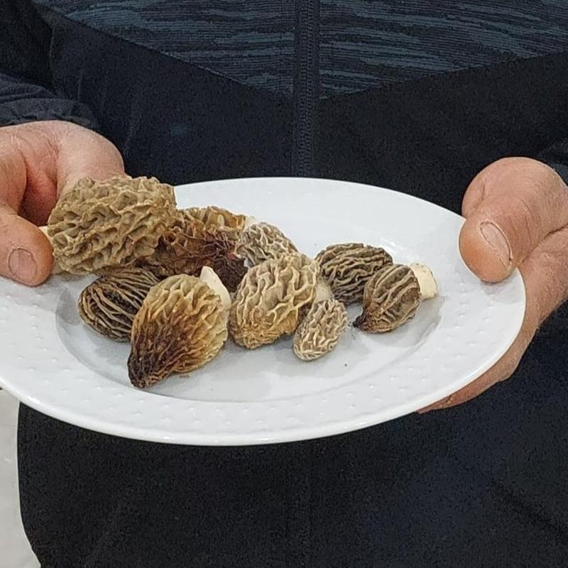 Mantardaki zehir piirmekle yok olmaz! te zehirli mantar belirtileri