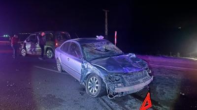 orum'da iki otomobil bykba hayvana arpt: 3 yaral