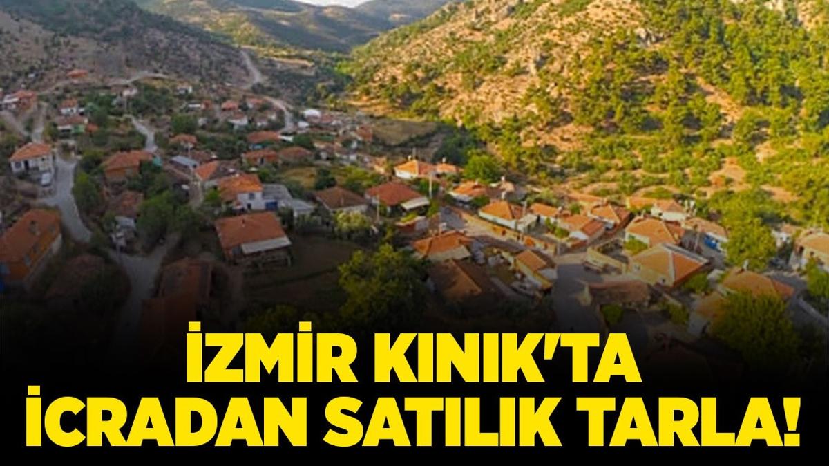 izmir knk tarla icradan satlk tarla icra ilanlar fotoraflar resimleri