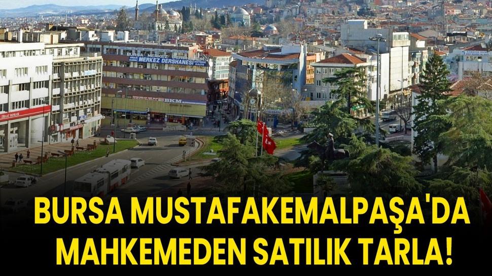 Bursa Mustafakemalpaşa'da mahkemeden satılık tarla!